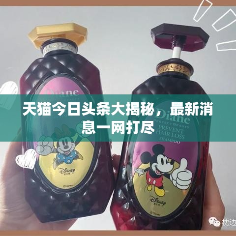 天貓今日頭條大揭秘，最新消息一網(wǎng)打盡