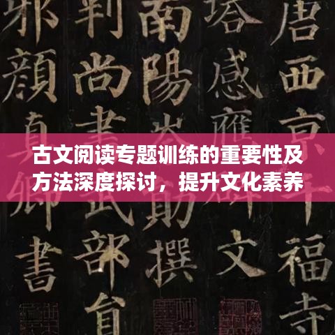 古文閱讀專題訓(xùn)練的重要性及方法深度探討，提升文化素養(yǎng)的關(guān)鍵路徑