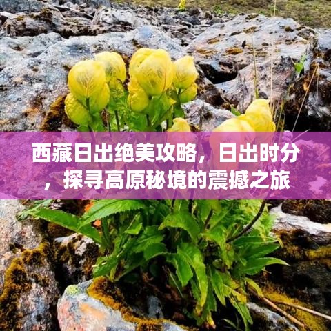 西藏日出絕美攻略，日出時(shí)分，探尋高原秘境的震撼之旅