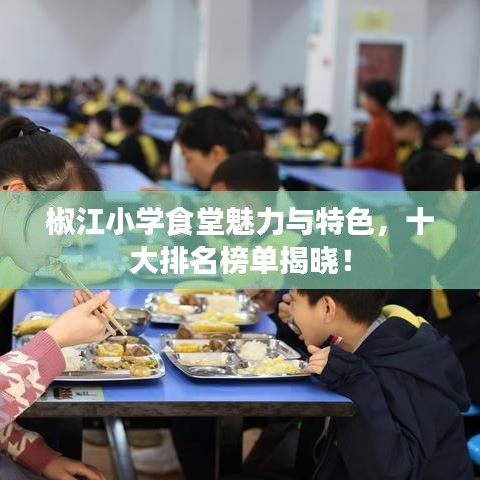 椒江小學(xué)食堂魅力與特色，十大排名榜單揭曉！