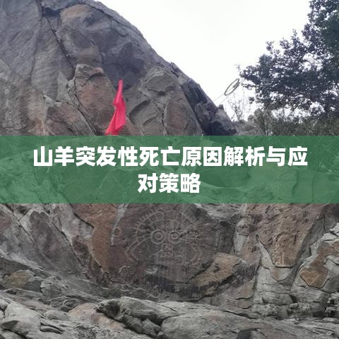 山羊突發(fā)性死亡原因解析與應(yīng)對(duì)策略