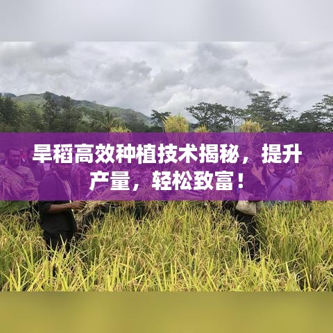 灰飛湮滅 第3頁