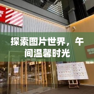 探索圖片世界，午間溫馨時光