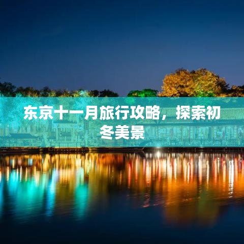 東京十一月旅行攻略，探索初冬美景