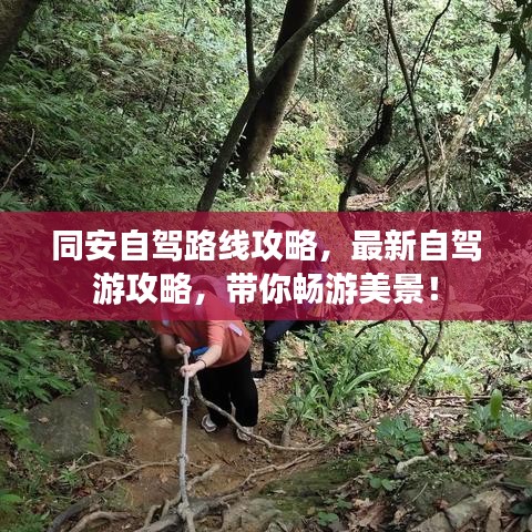同安自駕路線攻略，最新自駕游攻略，帶你暢游美景！