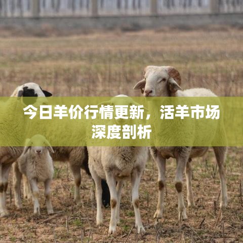 濟(jì)濟(jì)一堂 第3頁