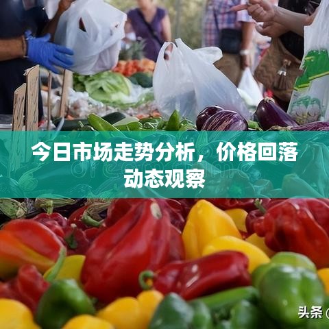 今日市場(chǎng)走勢(shì)分析，價(jià)格回落動(dòng)態(tài)觀(guān)察