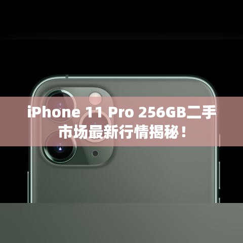iPhone 11 Pro 256GB二手市場最新行情揭秘！