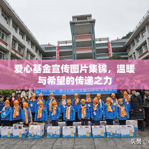 愛心基金宣傳圖片集錦，溫暖與希望的傳遞之力
