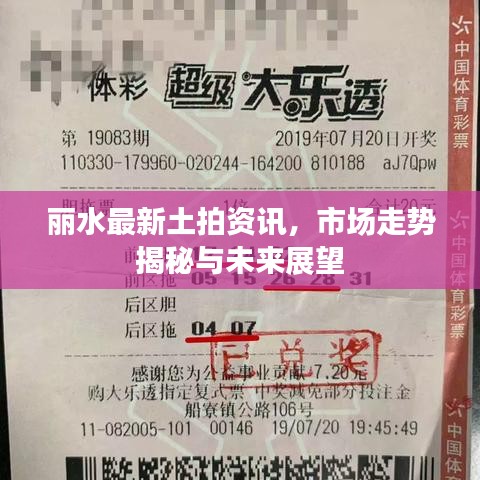 麗水最新土拍資訊，市場(chǎng)走勢(shì)揭秘與未來(lái)展望