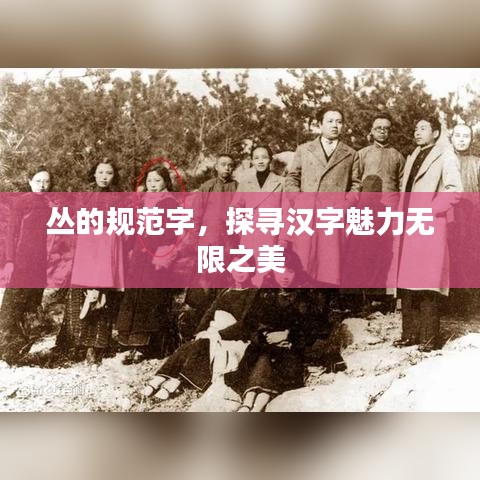 叢的規(guī)范字，探尋漢字魅力無限之美