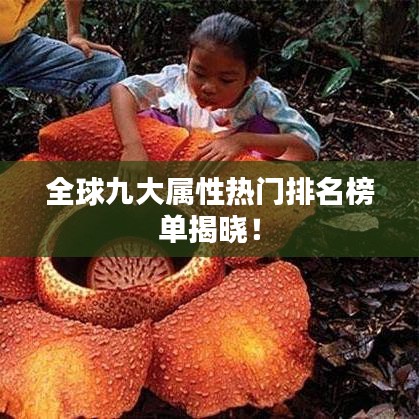 全球九大屬性熱門排名榜單揭曉！