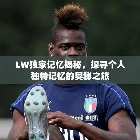 LW獨(dú)家記憶揭秘，探尋個人獨(dú)特記憶的奧秘之旅
