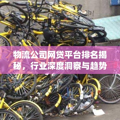 物流公司網(wǎng)貸平臺(tái)排名揭秘，行業(yè)深度洞察與趨勢展望