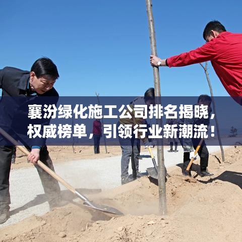 襄汾綠化施工公司排名揭曉，權(quán)威榜單，引領(lǐng)行業(yè)新潮流！