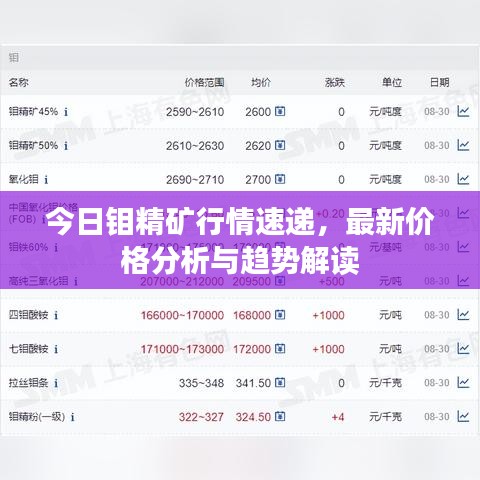 今日鉬精礦行情速遞，最新價(jià)格分析與趨勢解讀
