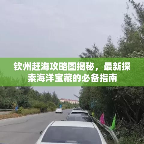 欽州趕海攻略圖揭秘，最新探索海洋寶藏的必備指南