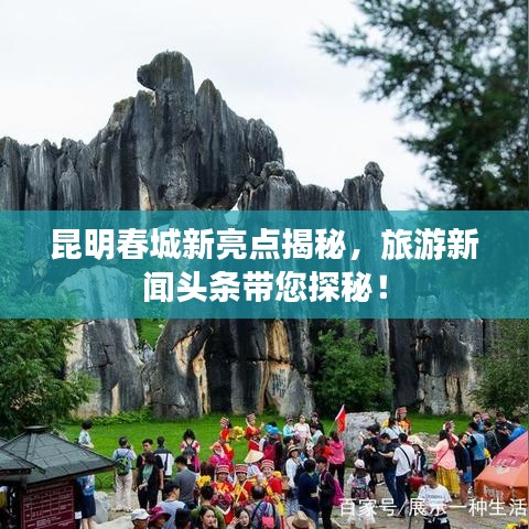 昆明春城新亮點(diǎn)揭秘，旅游新聞?lì)^條帶您探秘！