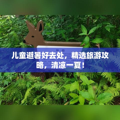 兒童避暑好去處，精選旅游攻略，清涼一夏！