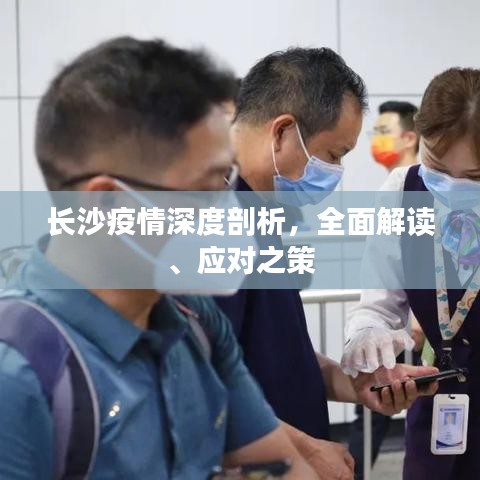長沙疫情深度剖析，全面解讀、應(yīng)對之策