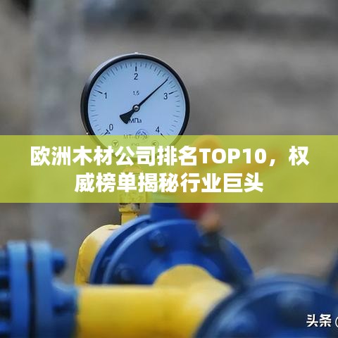 歐洲木材公司排名TOP10，權(quán)威榜單揭秘行業(yè)巨頭