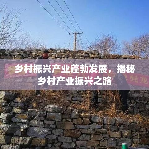 鄉(xiāng)村振興產(chǎn)業(yè)蓬勃發(fā)展，揭秘鄉(xiāng)村產(chǎn)業(yè)振興之路