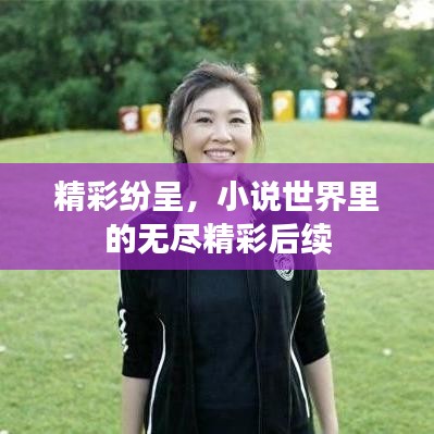 精彩紛呈，小說世界里的無盡精彩后續(xù)