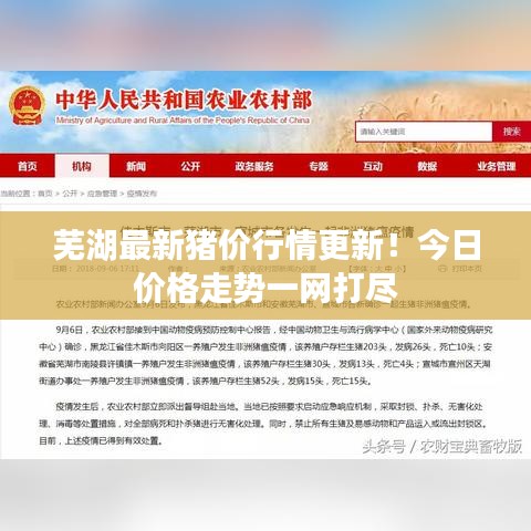 蕪湖最新豬價行情更新！今日價格走勢一網(wǎng)打盡