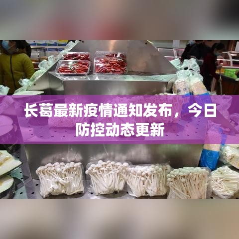 長葛最新疫情通知發(fā)布，今日防控動態(tài)更新
