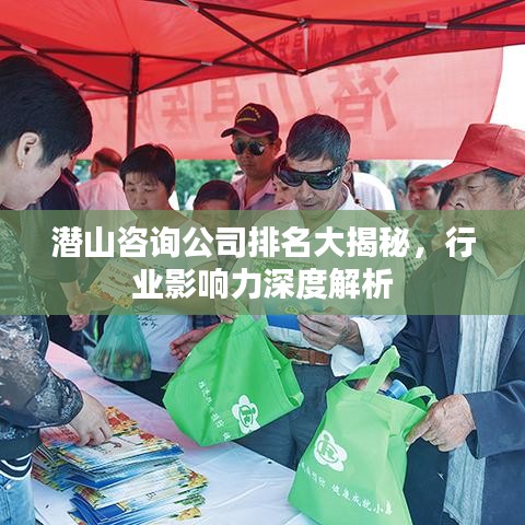 潛山咨詢公司排名大揭秘，行業(yè)影響力深度解析