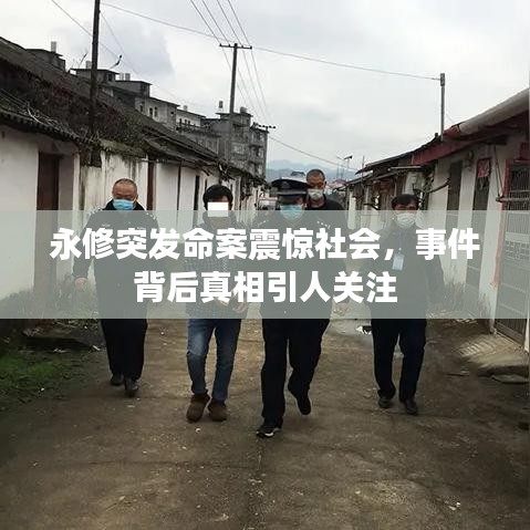 神氣十足 第3頁(yè)