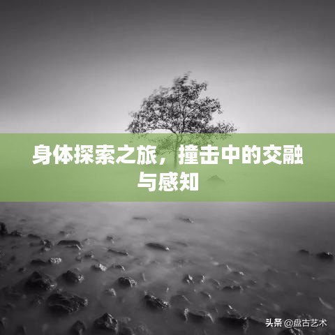 身體探索之旅，撞擊中的交融與感知