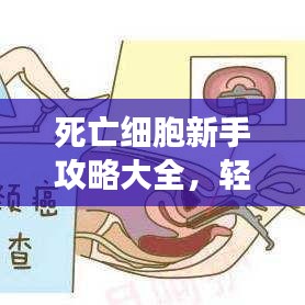 死亡細(xì)胞新手攻略大全，輕松上手游戲秘籍！