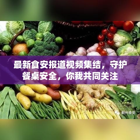 最新食安報(bào)道視頻集結(jié)，守護(hù)餐桌安全，你我共同關(guān)注