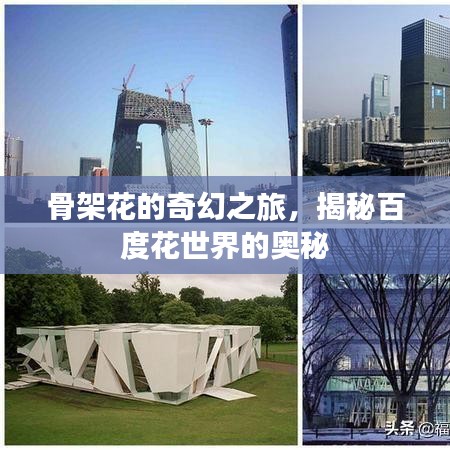 骨架花的奇幻之旅，揭秘百度花世界的奧秘