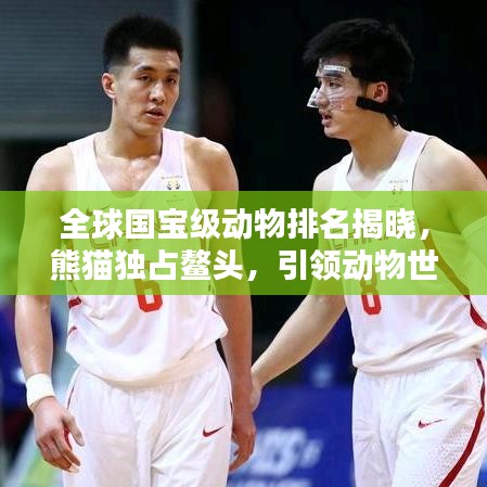 全球國寶級動物排名揭曉，熊貓獨占鰲頭，引領(lǐng)動物世界風(fēng)潮！