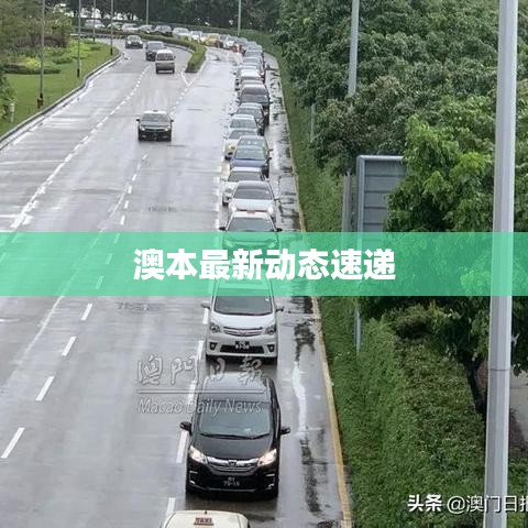 澳本最新動態(tài)速遞