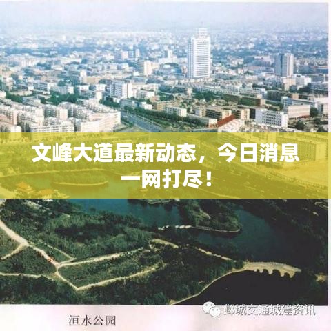 文峰大道最新動(dòng)態(tài)，今日消息一網(wǎng)打盡！