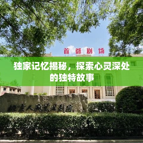 獨家記憶揭秘，探索心靈深處的獨特故事