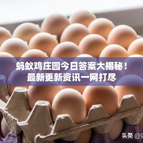 螞蟻雞莊園今日答案大揭秘！最新更新資訊一網(wǎng)打盡