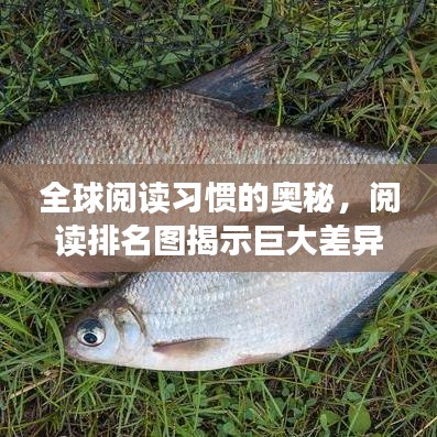 全球閱讀習(xí)慣的奧秘，閱讀排名圖揭示巨大差異！
