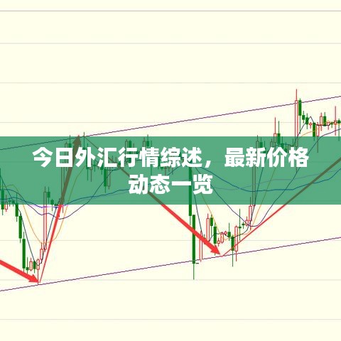 今日外匯行情綜述，最新價(jià)格動(dòng)態(tài)一覽