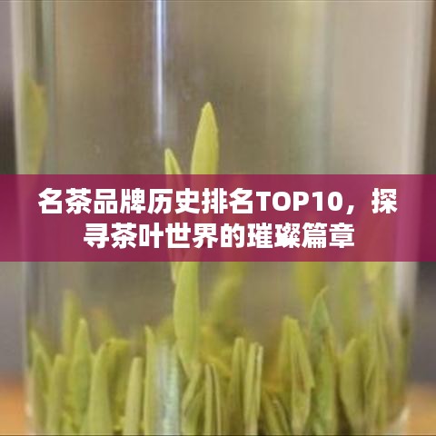 名茶品牌歷史排名TOP10，探尋茶葉世界的璀璨篇章