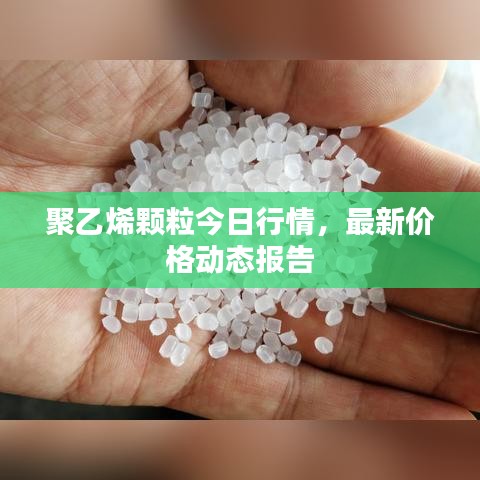 聚乙烯顆粒今日行情，最新價格動態(tài)報告