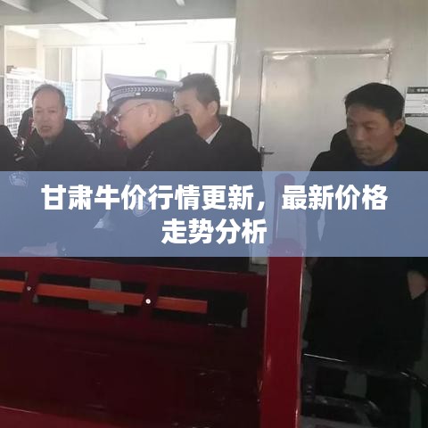 甘肅牛價(jià)行情更新，最新價(jià)格走勢(shì)分析