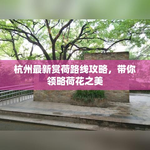 凌空飛起 第2頁