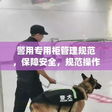 警用專用柜管理規(guī)范，保障安全，規(guī)范操作，提升警務(wù)效率