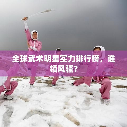 全球武術(shù)明星實力排行榜，誰領(lǐng)風騷？