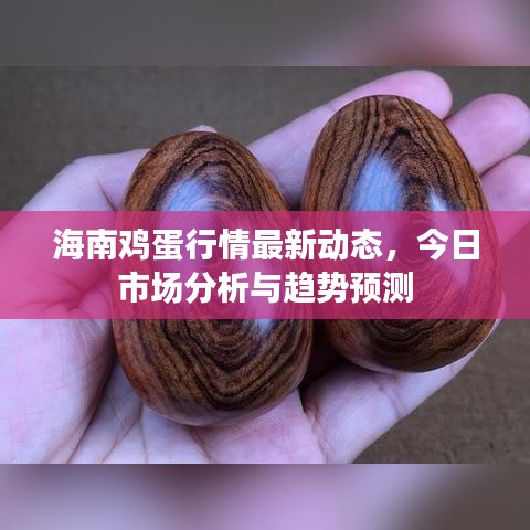 海南雞蛋行情最新動(dòng)態(tài)，今日市場(chǎng)分析與趨勢(shì)預(yù)測(cè)