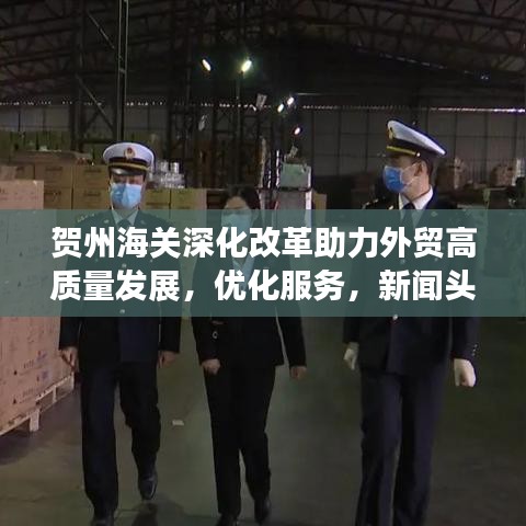 賀州海關深化改革助力外貿(mào)高質(zhì)量發(fā)展，優(yōu)化服務，新聞頭條搶先看